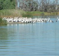 Lake Ross - Tourism Noosa