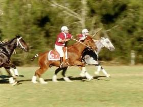 Loch Lomond QLD Tourism Noosa
