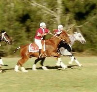 Morgan Park - Tourism Noosa