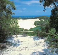 Lake Wabby Track - Tourism Noosa