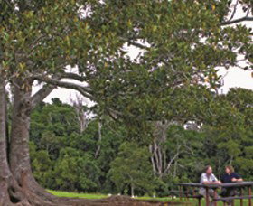 Umbiram QLD Tourism Noosa