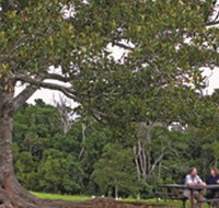 Ravensbourne National Park - Tourism Noosa