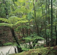 Fraser Island Great Walk - Tourism Noosa