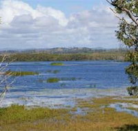 Lake Barfield - Tourism Noosa