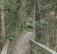 Springwood Conservation Park - Tourism Noosa