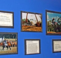 Town Hall Photographic Display - Tourism Noosa