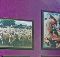 Charleville Photographic Display - Tourism Noosa