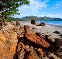 Diversity Boardwalk - Tourism Noosa