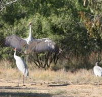Bulloo River Walk - Tourism Noosa