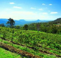 Preston Peak Wines - Tourism Noosa