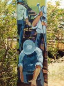 Crinum QLD Tourism Noosa