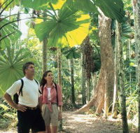 Licuala State Forest - Tourism Noosa