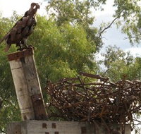 Blackall Sculpture Trail - Tourism Noosa