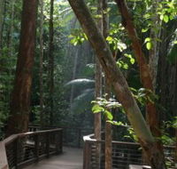Basin Lake Track - Tourism Noosa
