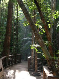 Basin Lake Track - Tourism Noosa 0