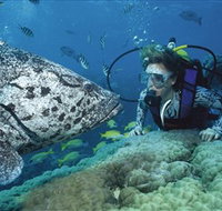 Pelorus Island - Tourism Noosa