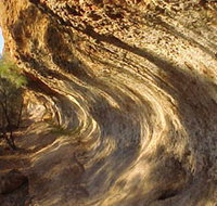 Wave Rock Trail - Tourism Noosa