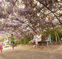 Laurel Bank Park - Tourism Noosa