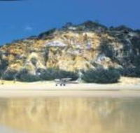The Cathedrals - Tourism Noosa