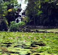 Queens Park Waterfall - Tourism Noosa