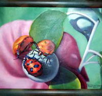 Kingaroy Shire Art Gallery - Tourism Noosa