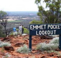 Idalia National Park Road - Tourism Noosa