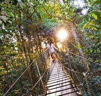 Tree Top Walkway - Tourism Noosa