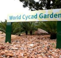 Anderson Park Botanic Gardens - Tourism Noosa