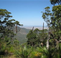Zamia Walk - Tourism Noosa