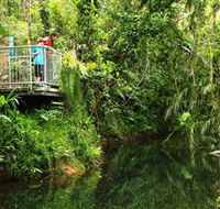 Djiru National Park - Tourism Noosa