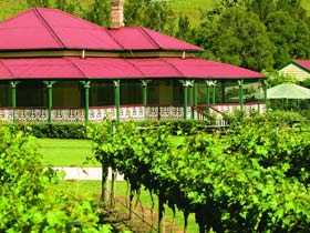 OReillys Canungra Valley Vineyards - Tourism Noosa 0