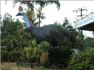 The Big Cassowary - Tourism Noosa 0