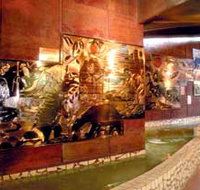 Riversleigh Fossil Centre - Tourism Noosa