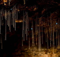 Cedar Creek Estate - Tourism Noosa