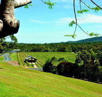Sirromet Winery - Tourism Noosa