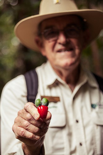 Tondoon Botanic Gardens - Tourism Noosa 1
