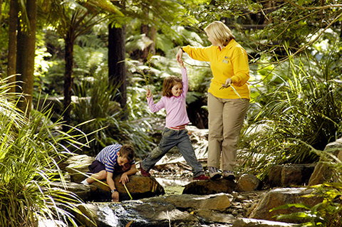 Tondoon Botanic Gardens - Tourism Noosa 2