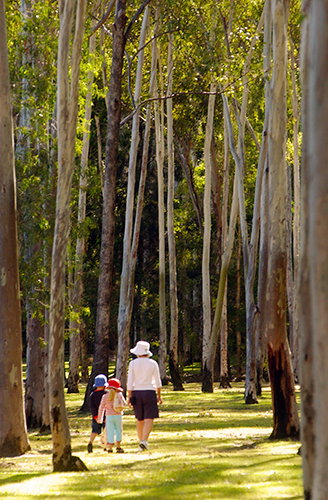 Tondoon Botanic Gardens - Tourism Noosa 3