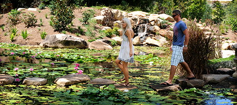 Tondoon Botanic Gardens - Tourism Noosa 7