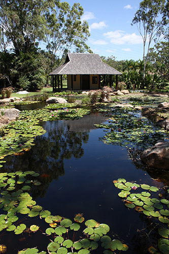 Tondoon Botanic Gardens - Tourism Noosa 8