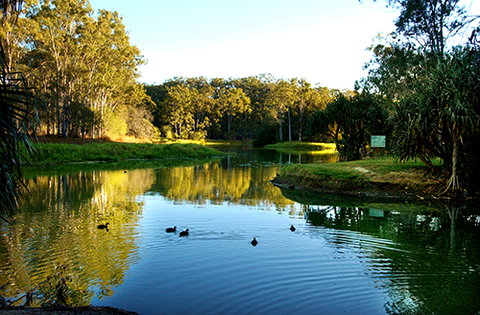 Tondoon Botanic Gardens - Tourism Noosa 9