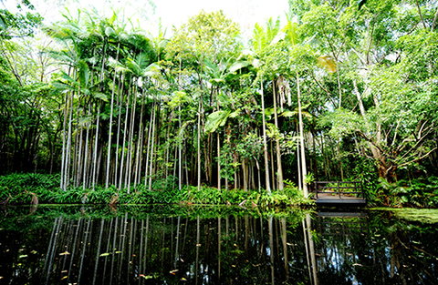 Tondoon Botanic Gardens - Tourism Noosa 11