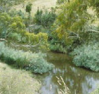 Yarrambat Park - Tourism Noosa