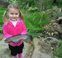 Wild Food Farm  Cafe - Tourism Noosa