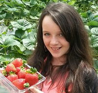 Yarra Valley Gateway Estate - Tourism Noosa