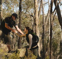 Greater Bendigo National Park - Tourism Noosa
