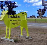 Locheilan Farmhouse Cheese - Tourism Noosa