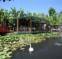 Blue Lotus Water Garden - Tourism Noosa