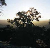 Yarra Flats - Tourism Noosa