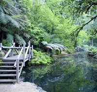 Alfred Nicholas Gardens - Tourism Noosa